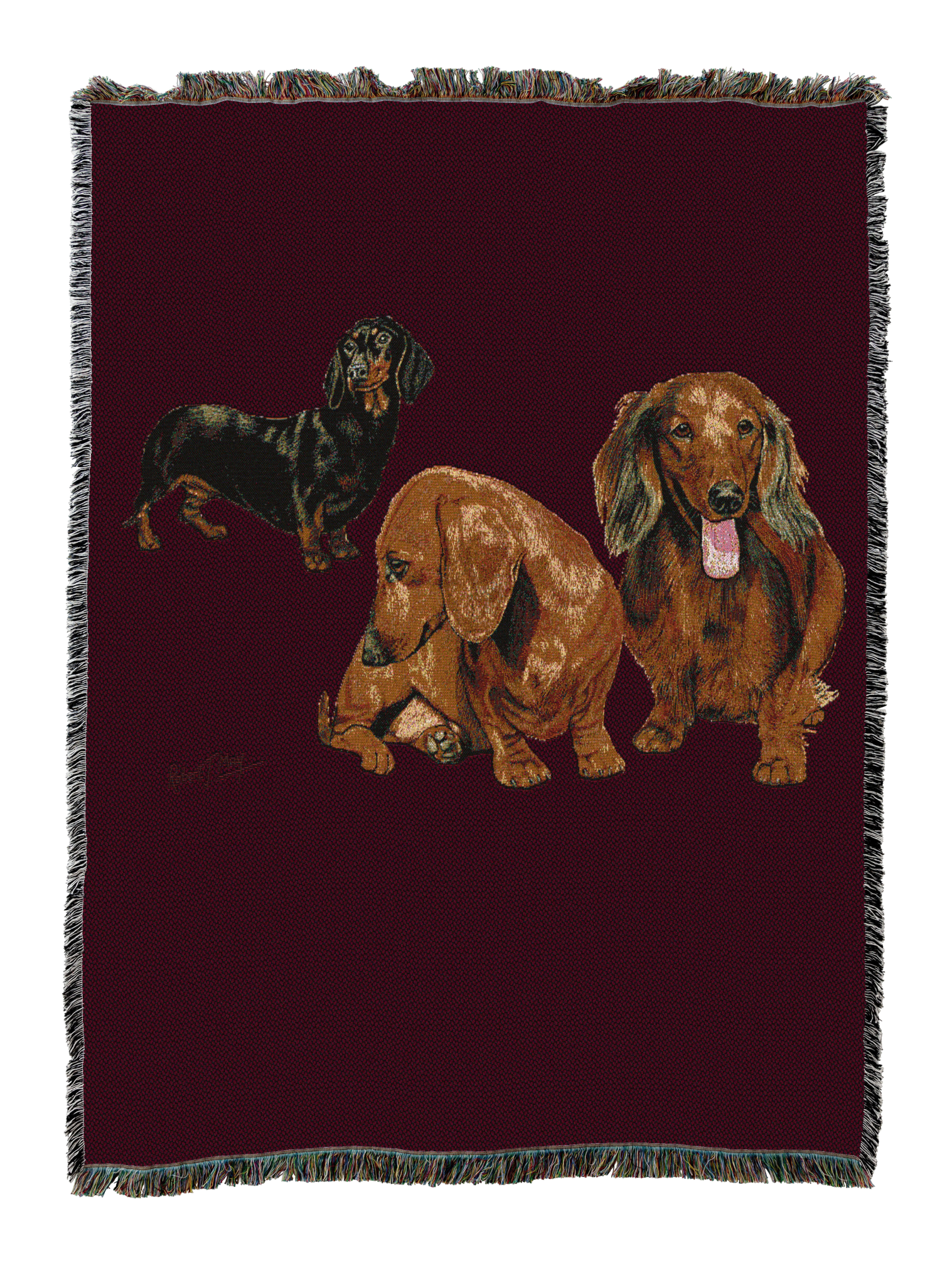 Dachshund Puppies Blanket Red