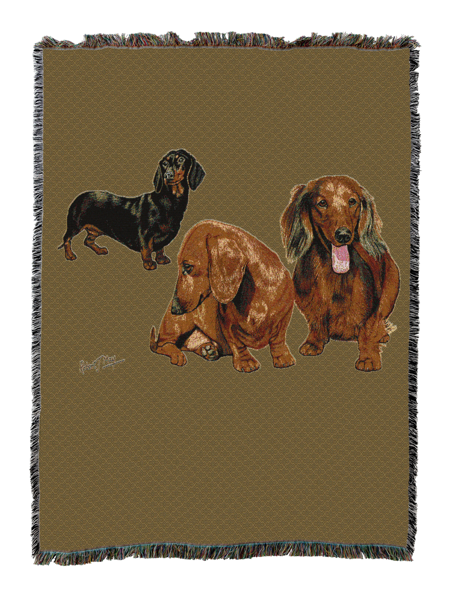 Dachshund Puppies Blanket Sand