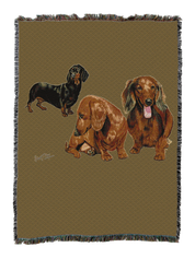 Dachshund Puppies Blanket Sand