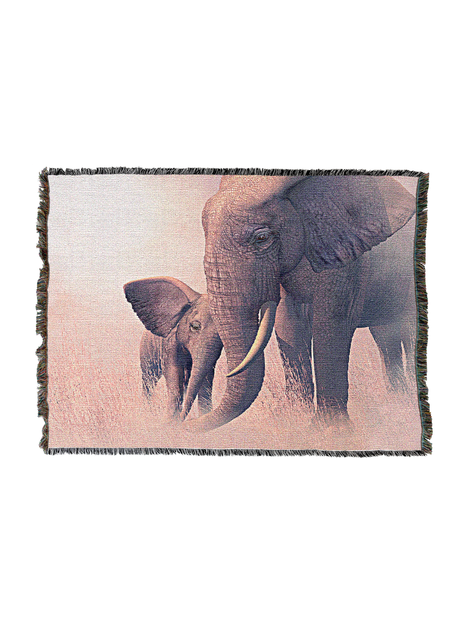 Echo And Ebony Blanket