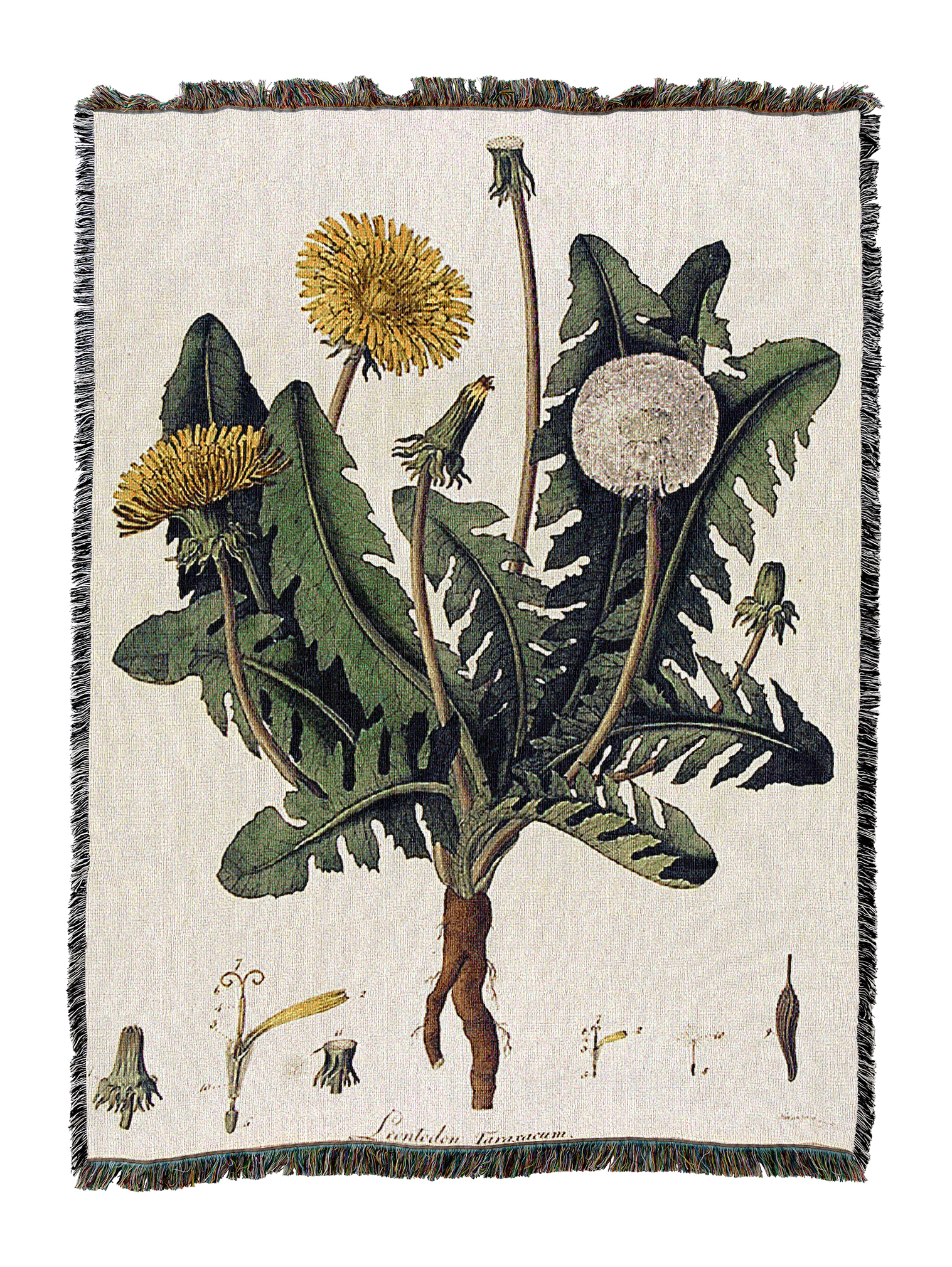 Dandelion Diagram Blanket by William Kilburn