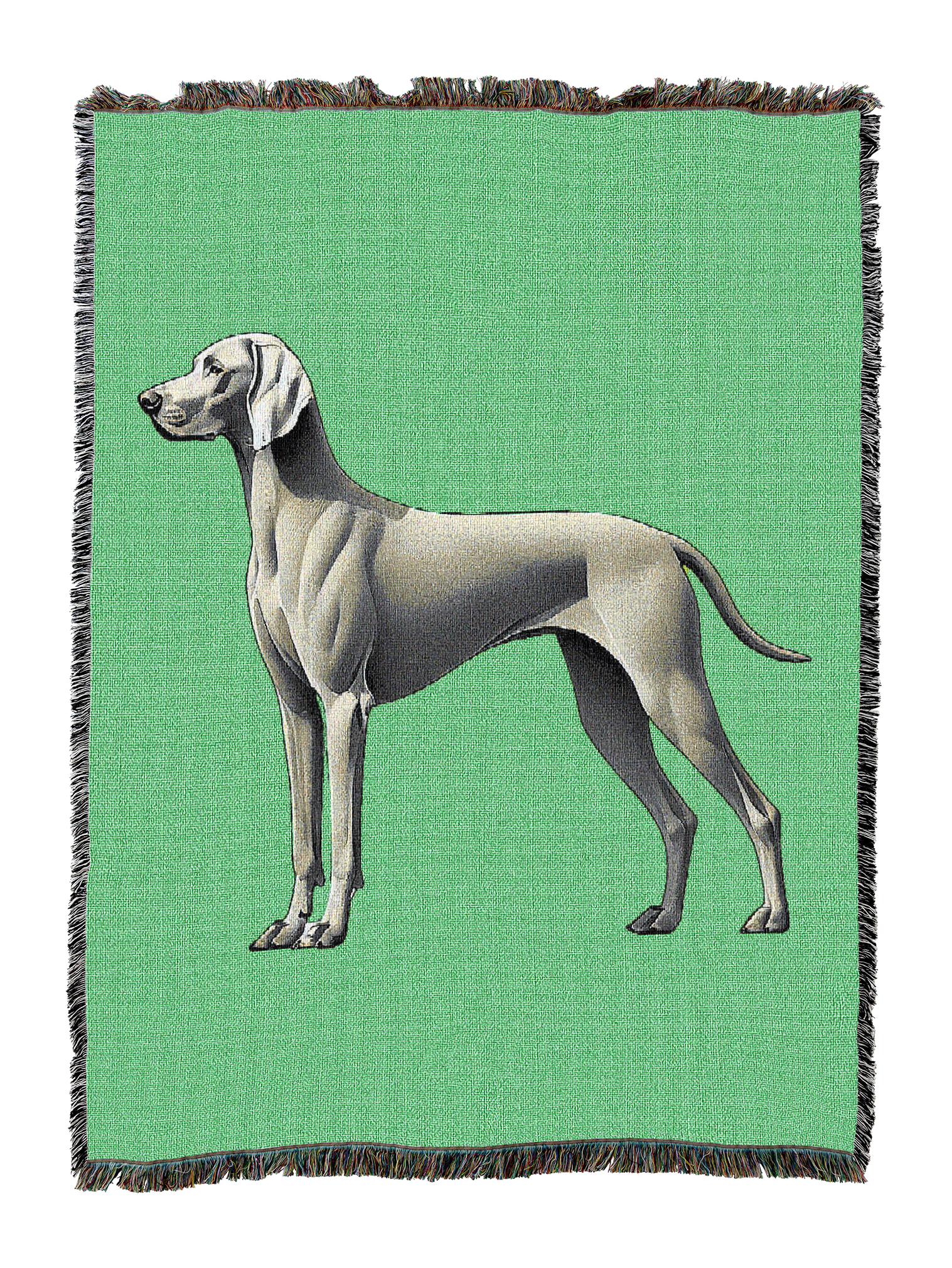 Weimaraner Blanket 2