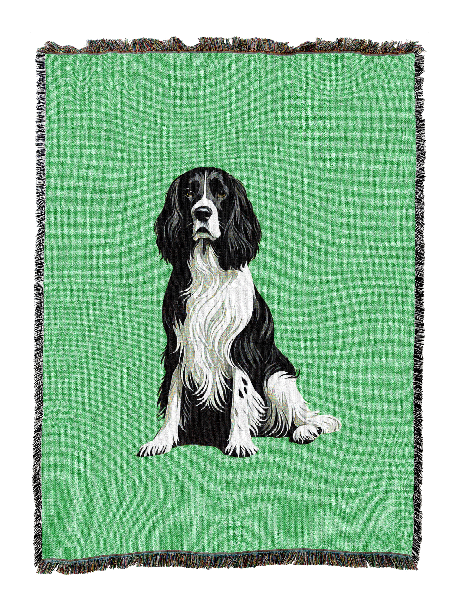 English Springer Blanket