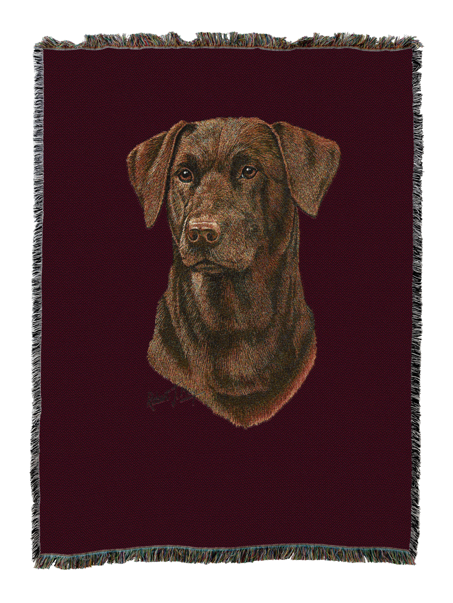 Labrador Retriever Chocolate 2 Blanket