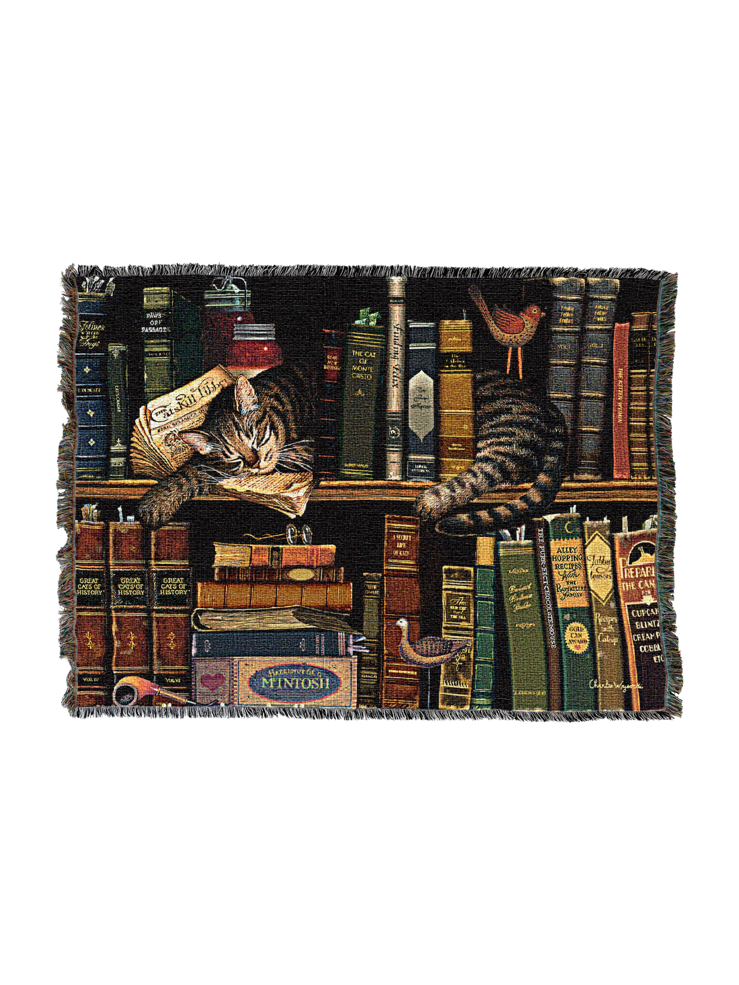 Max In The Stacks Blanket