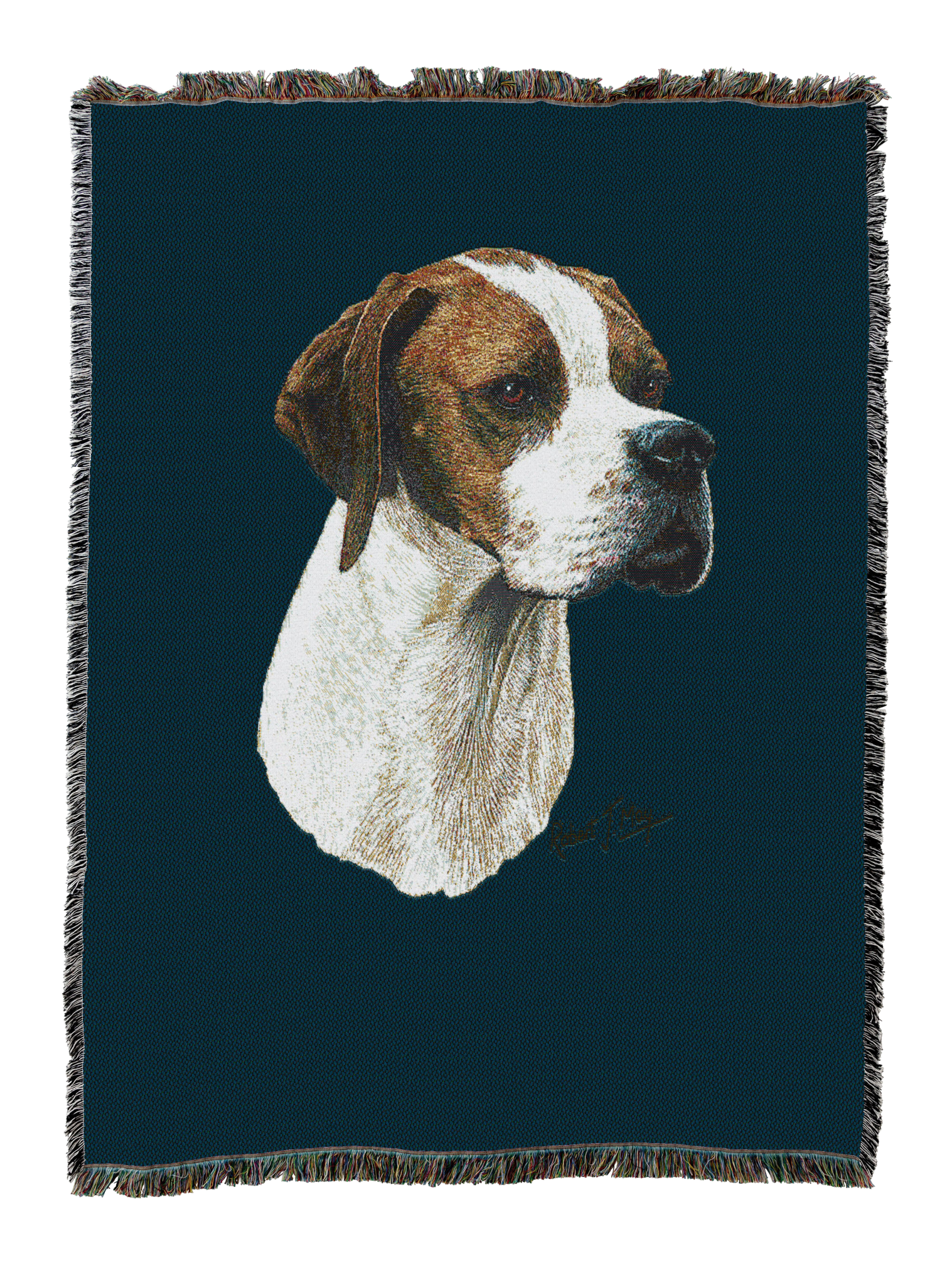 Pointer Blanket