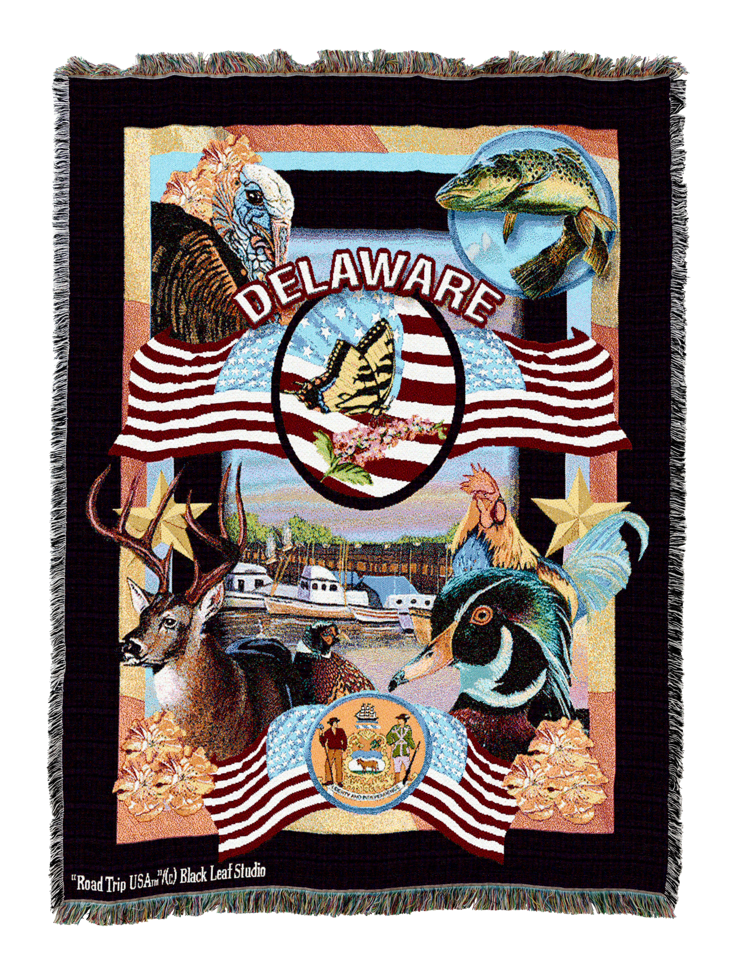 State Of Delaware Blanket