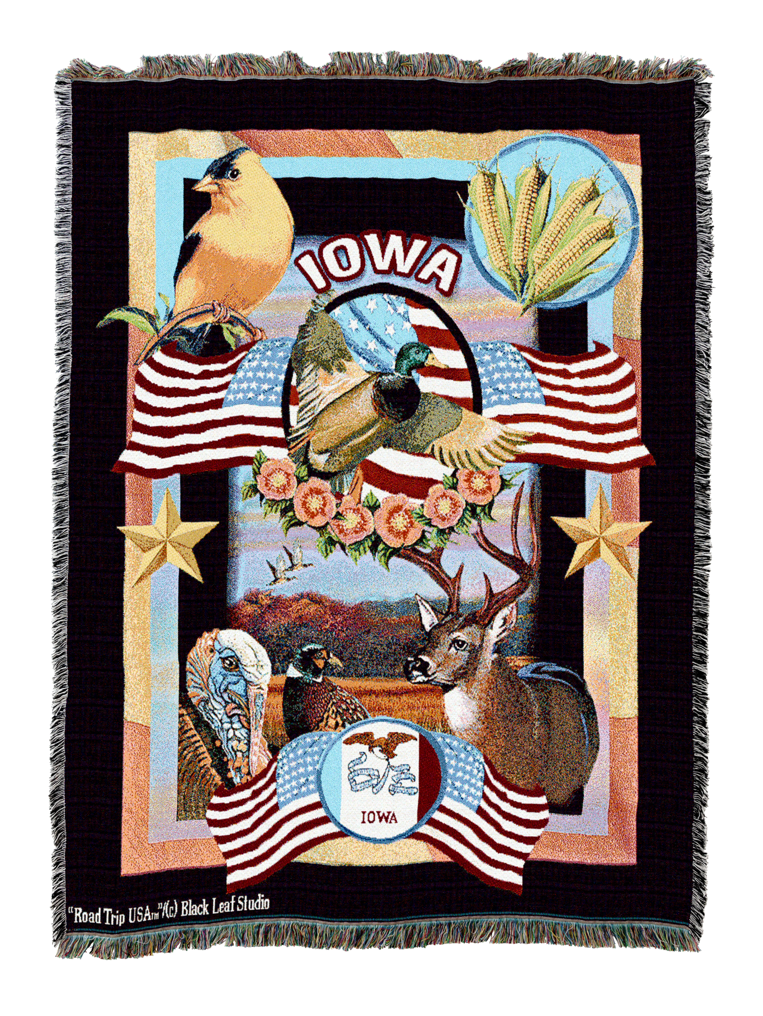 State Of Iowa Blanket