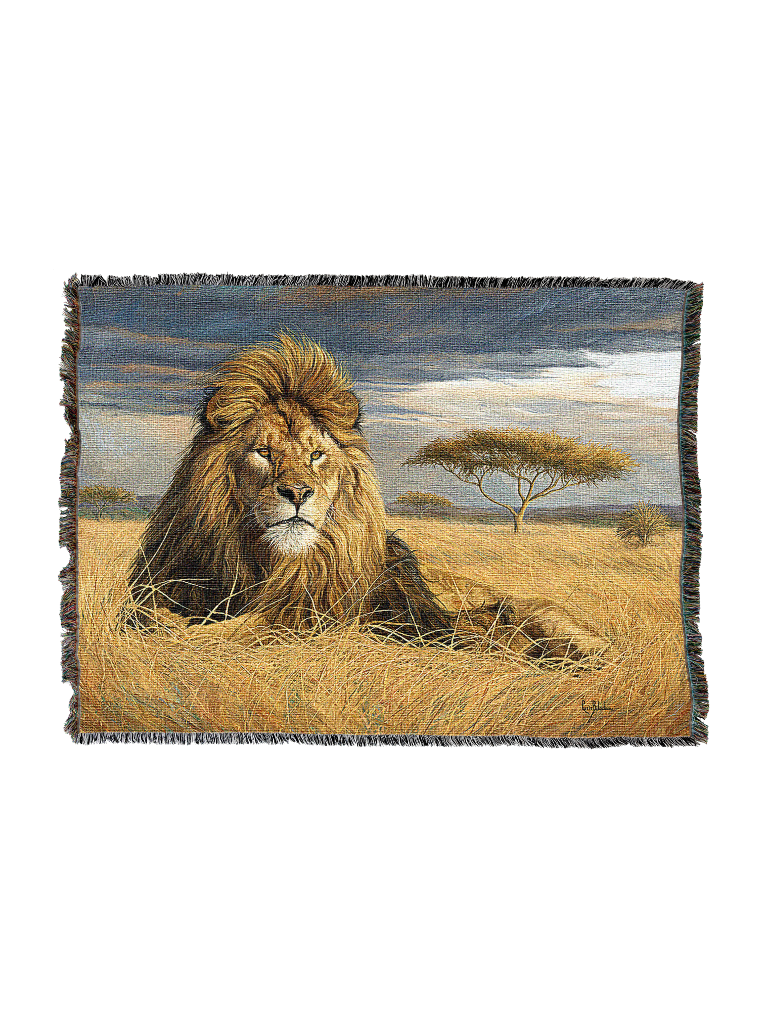 King Of The Pride Blanket