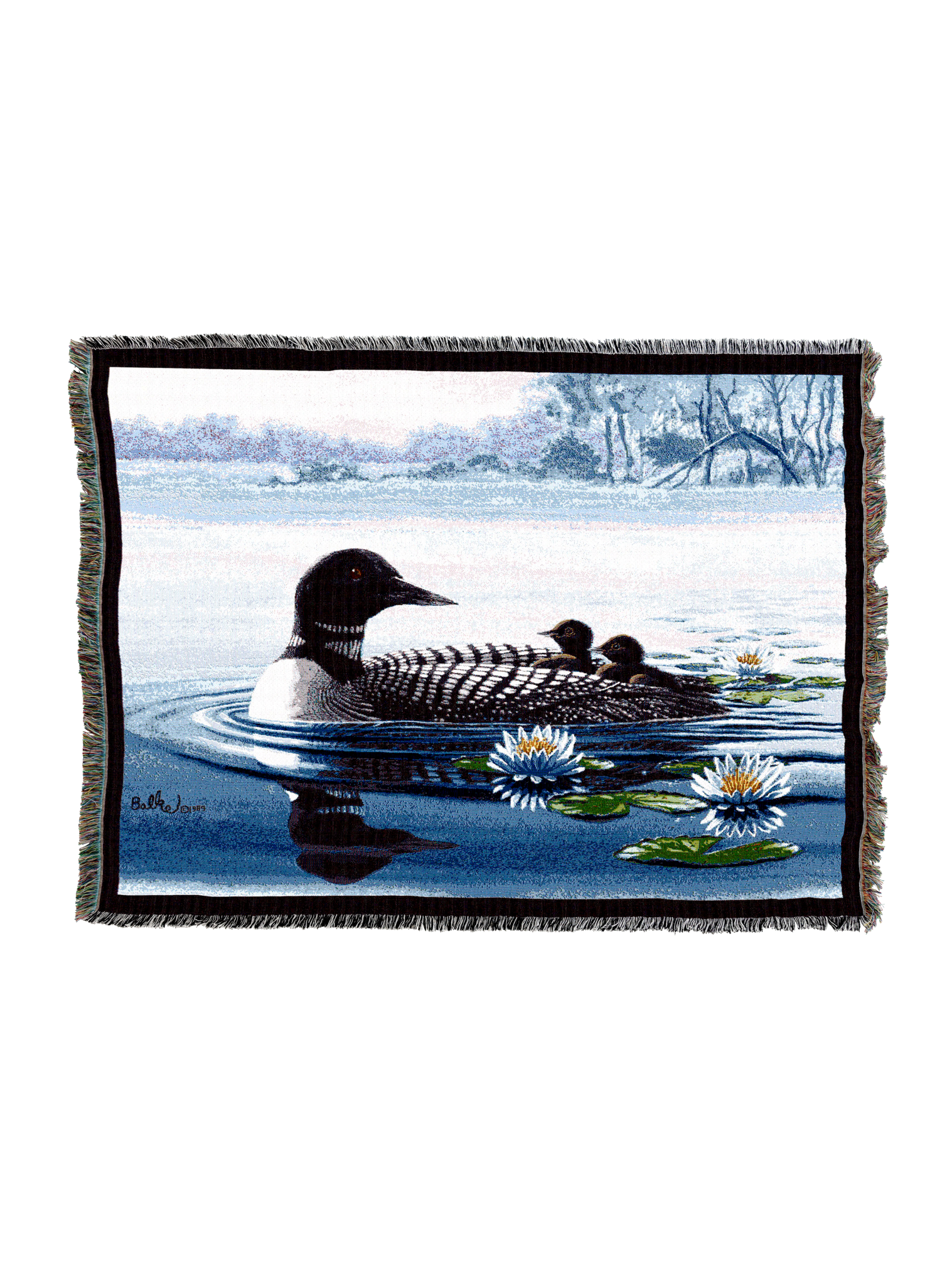 Loons Blanket