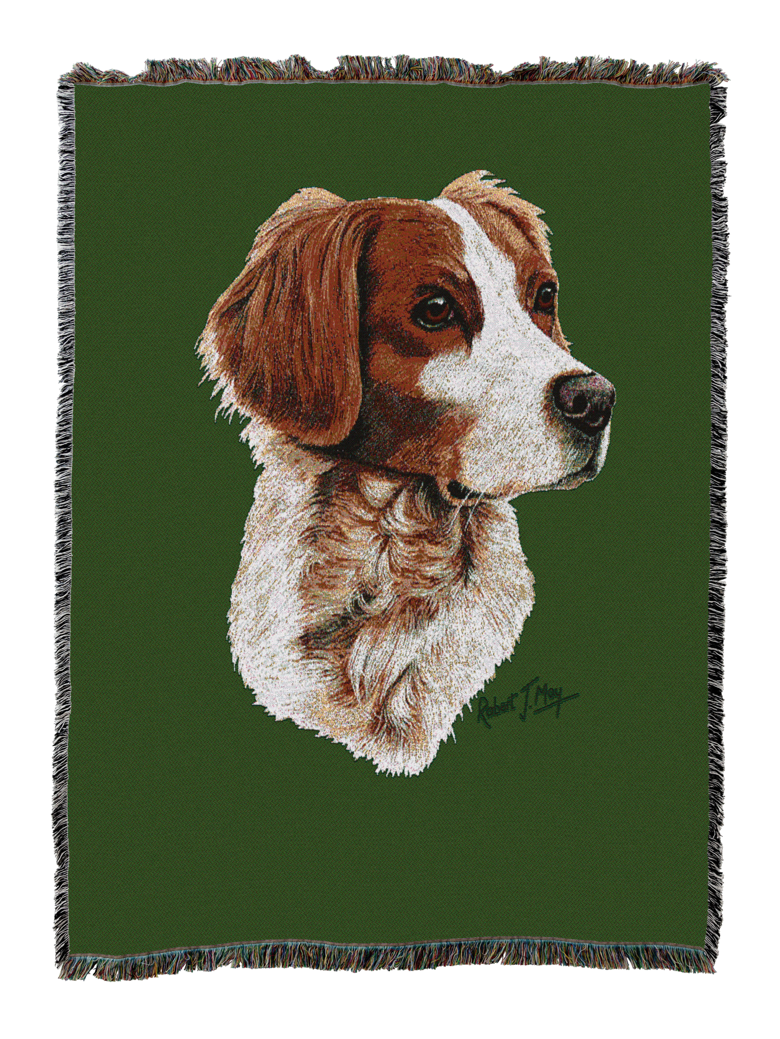 Brittany Spaniel