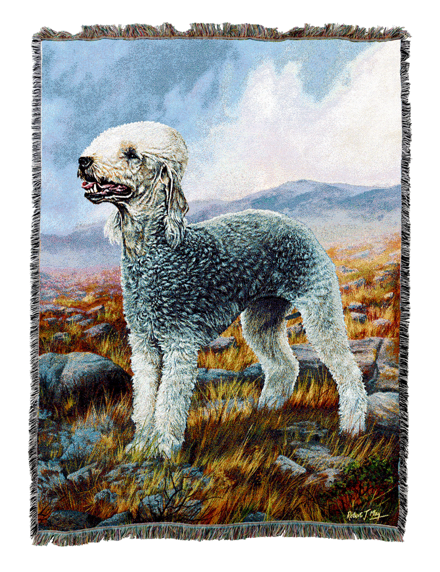 Dogs