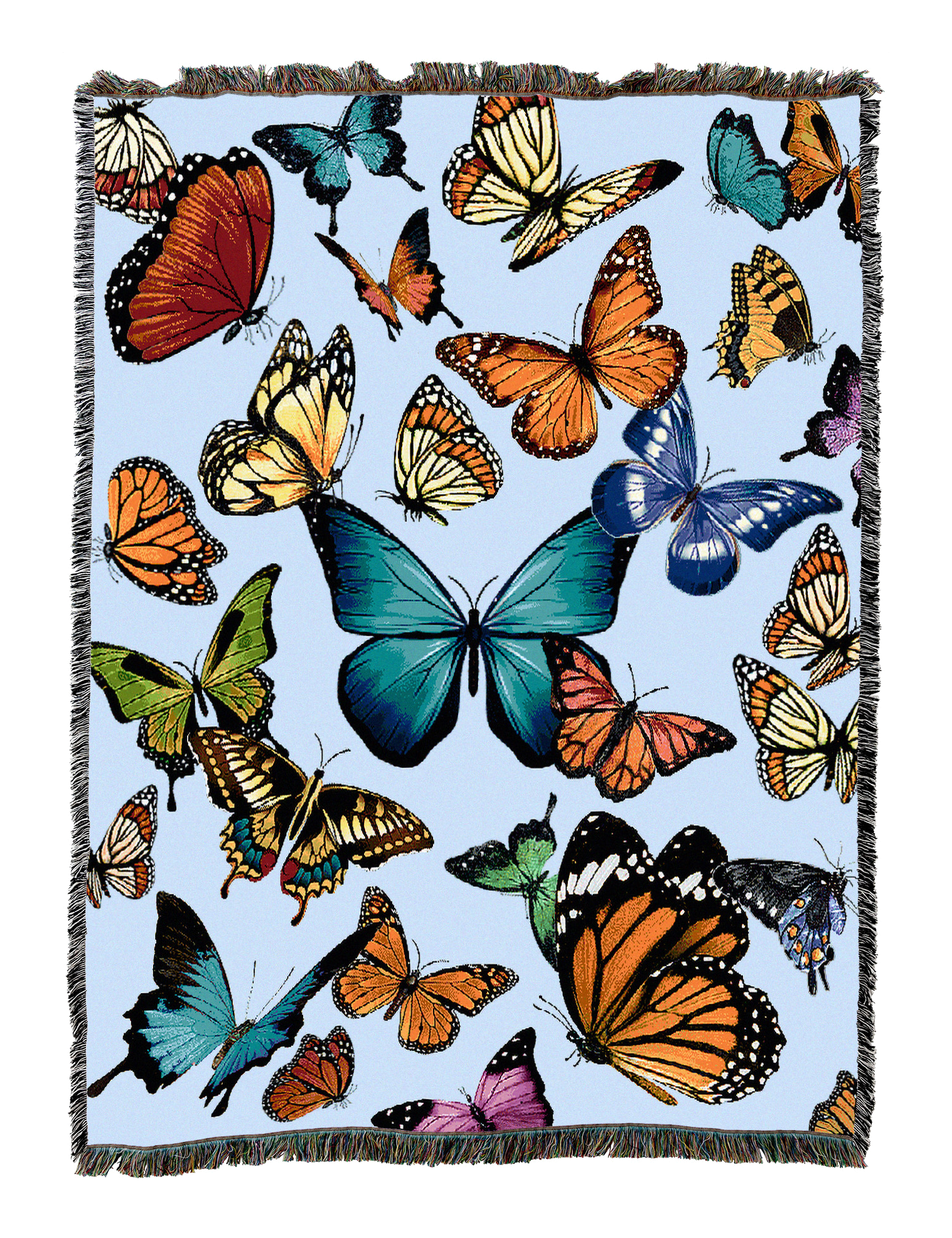 Butterfly, Bugs & Reptiles