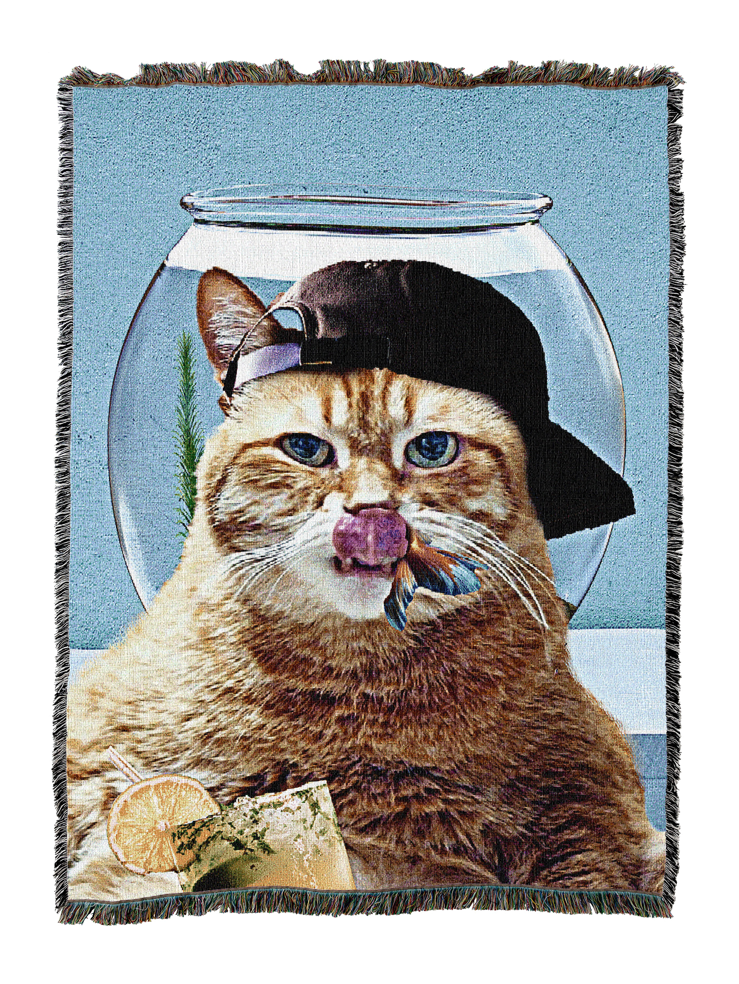 Cats - Cute & Funny
