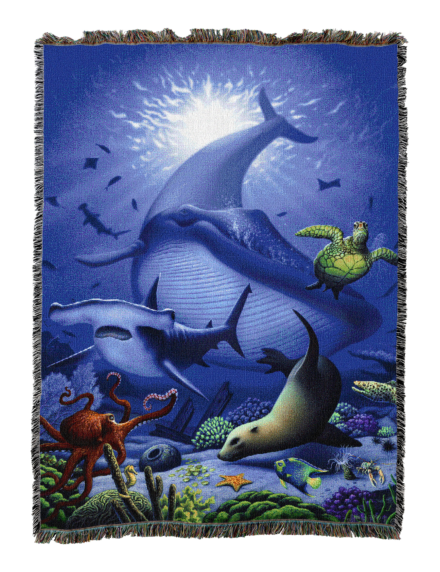 Fish & Marine Mammals