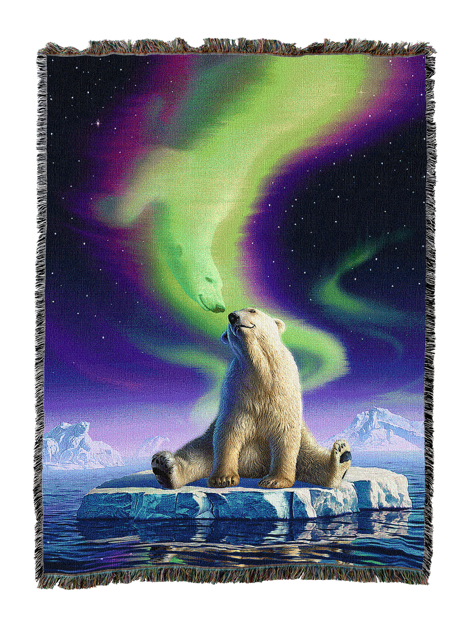 Animals - Cute & Funny - Polar Bear