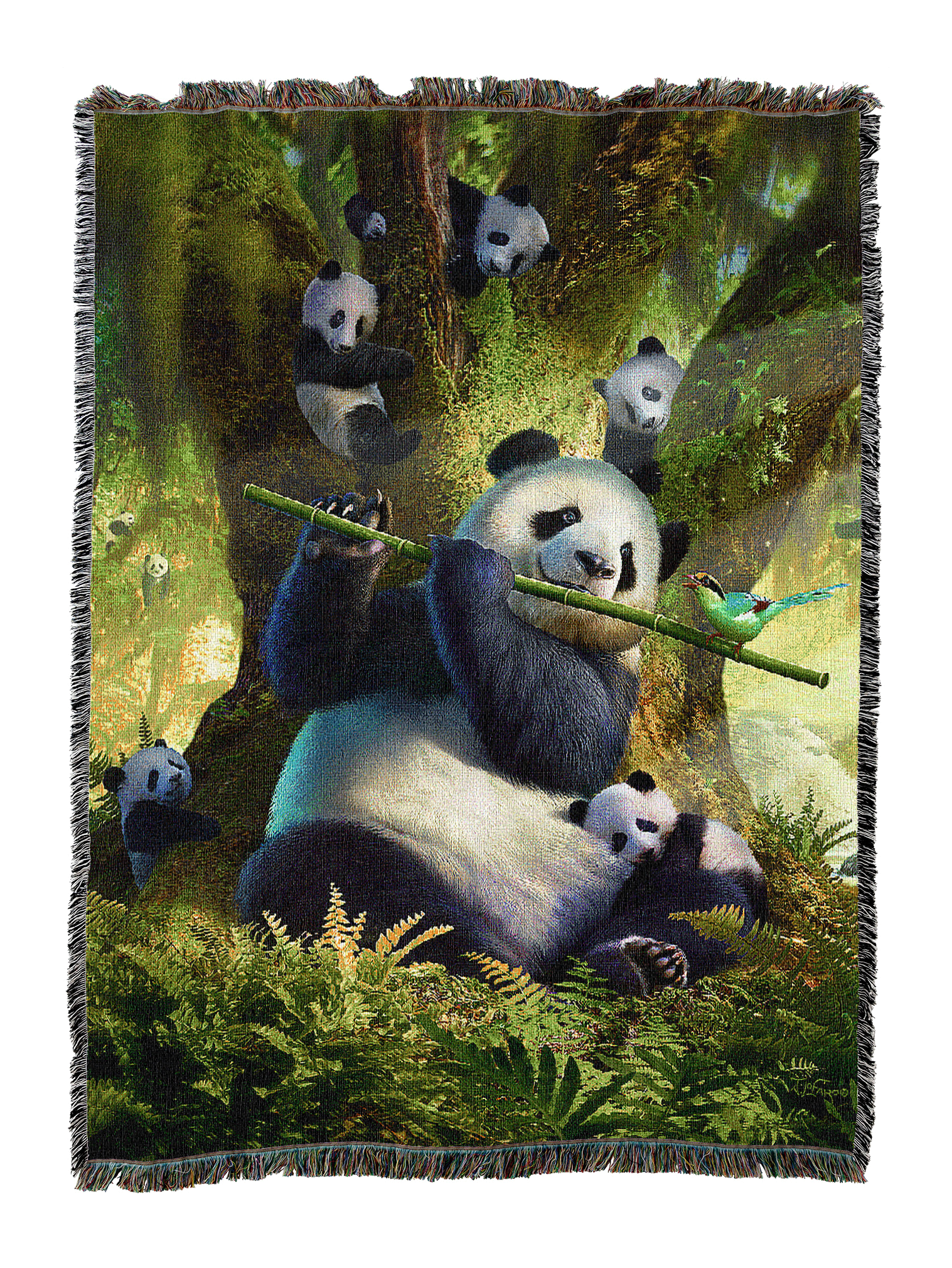 Animals - Cute & Funny - Panda