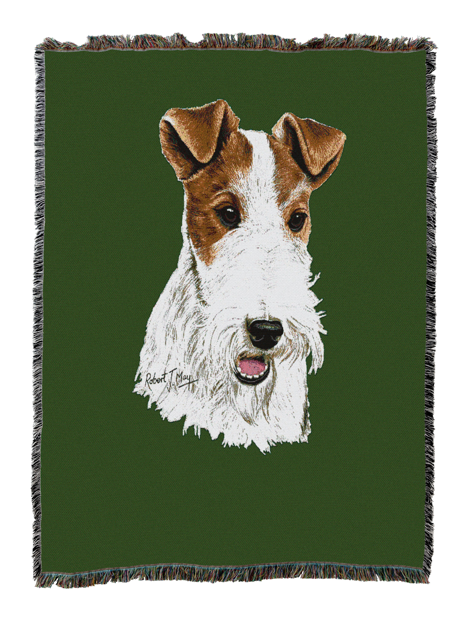 Wire Fox Terrier