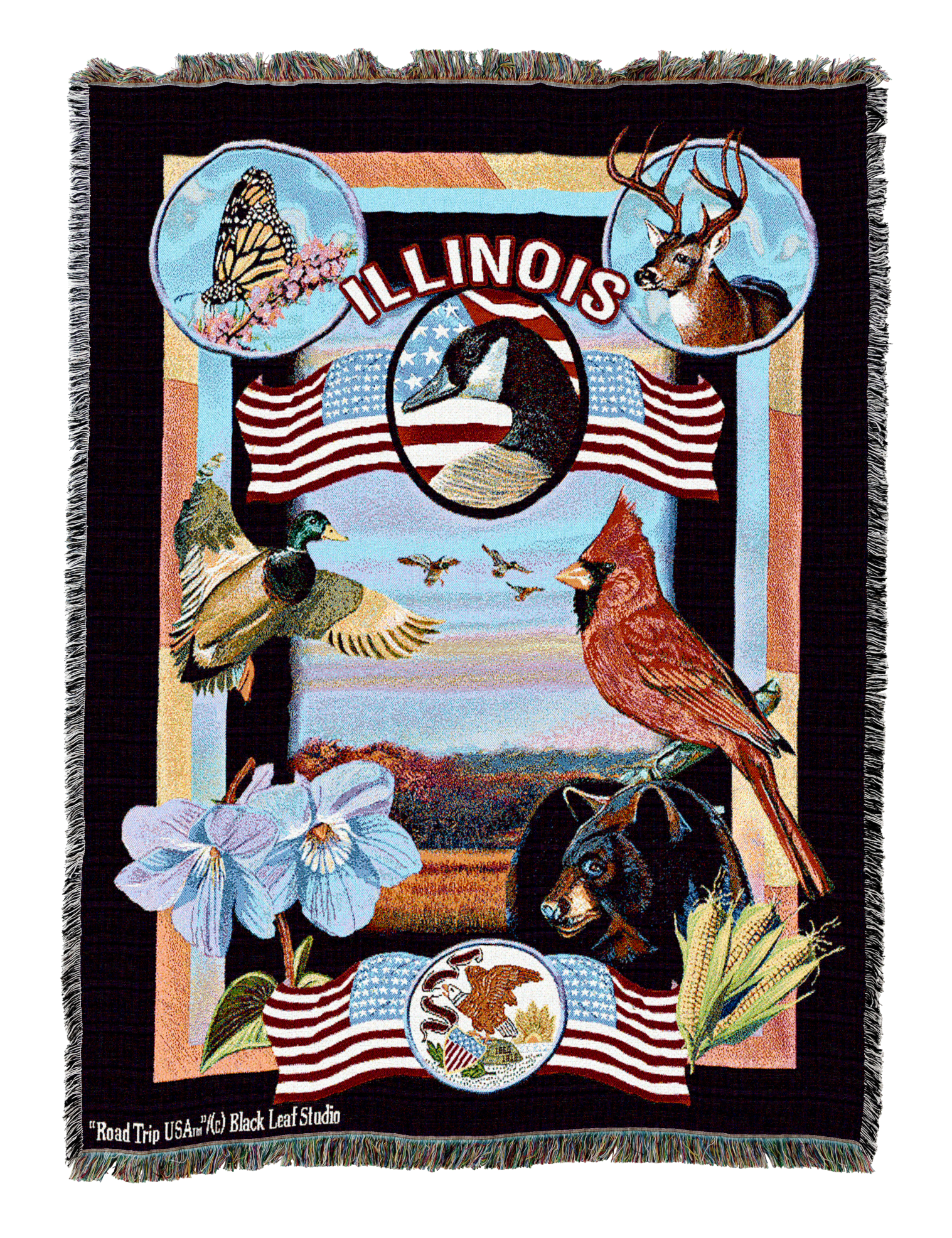 Illinois