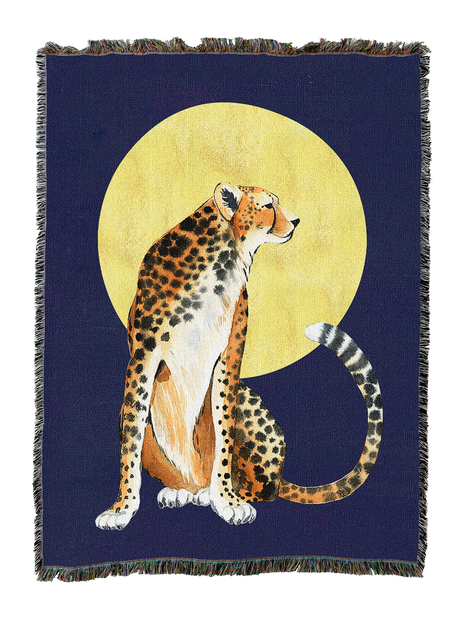 Animals - Wildlife - Wild Cats