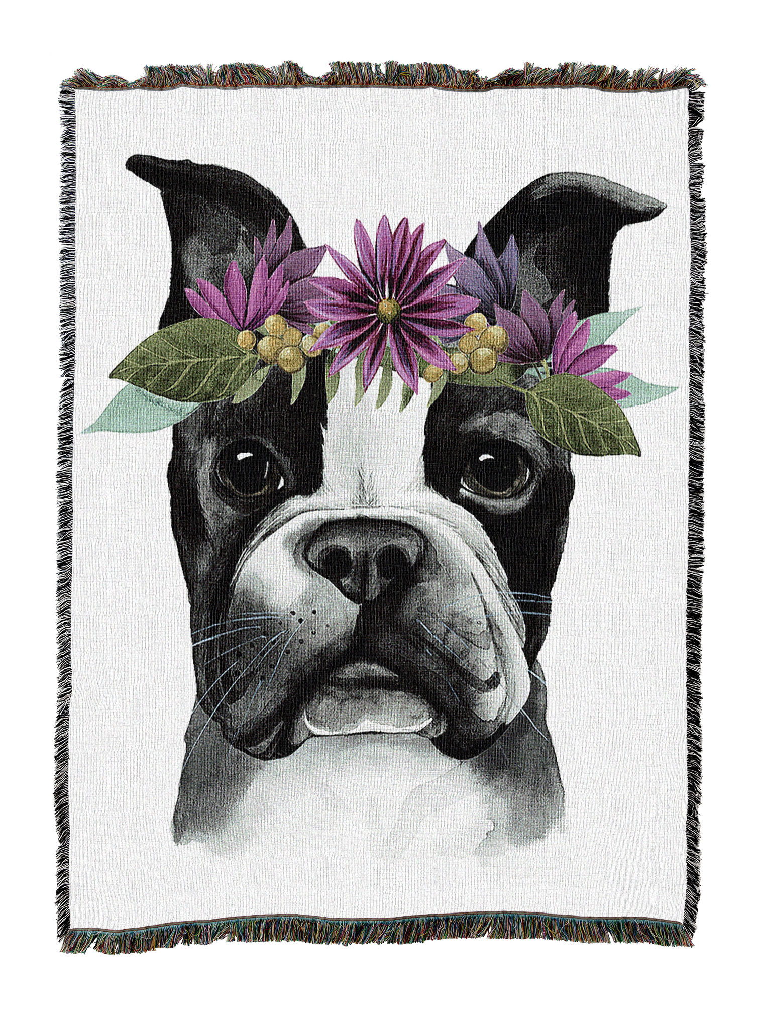 Animals - Cute & Funny - Dogs