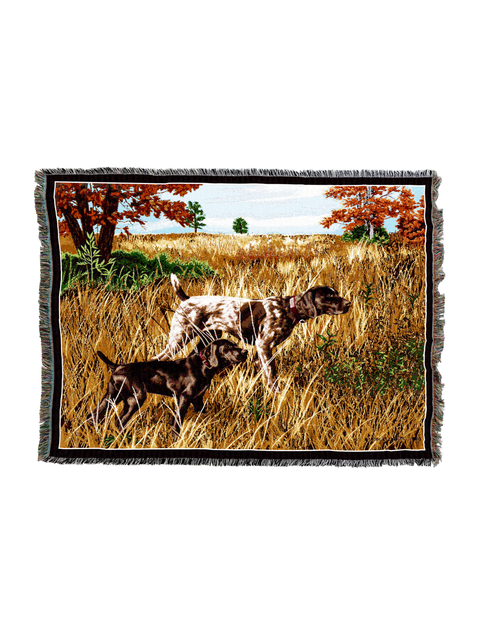 German Shorthaired