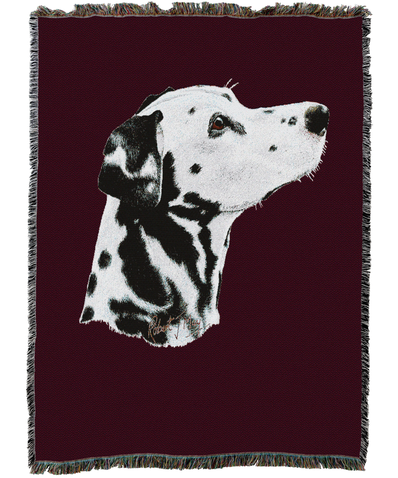 Dalmatian Blanket