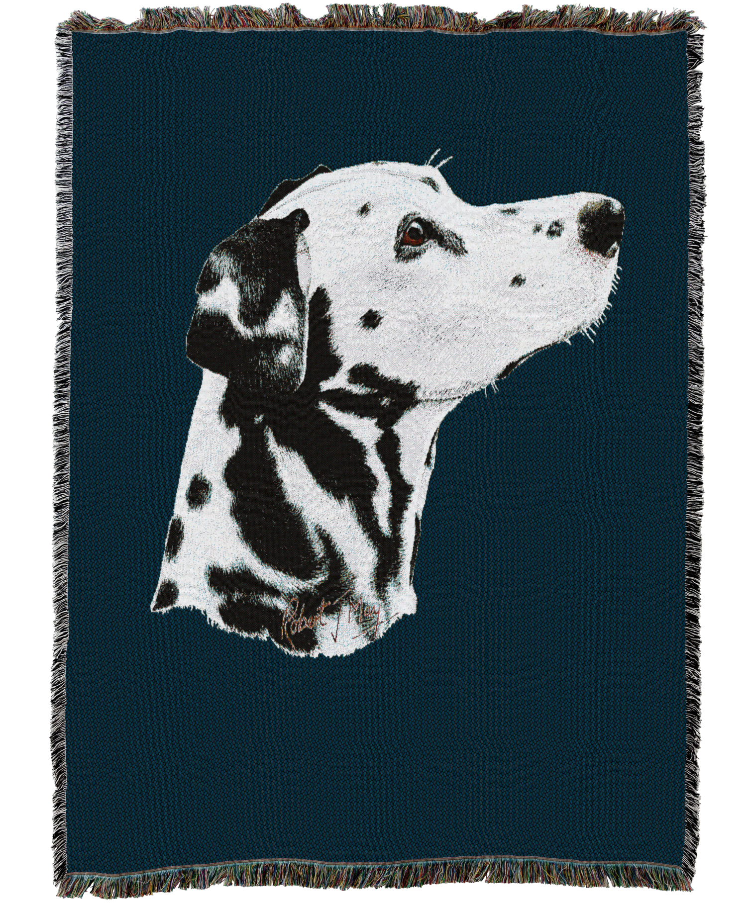 1122C-T_07c5688e-b612-4a7a-a8a1-c24ce200d010.png