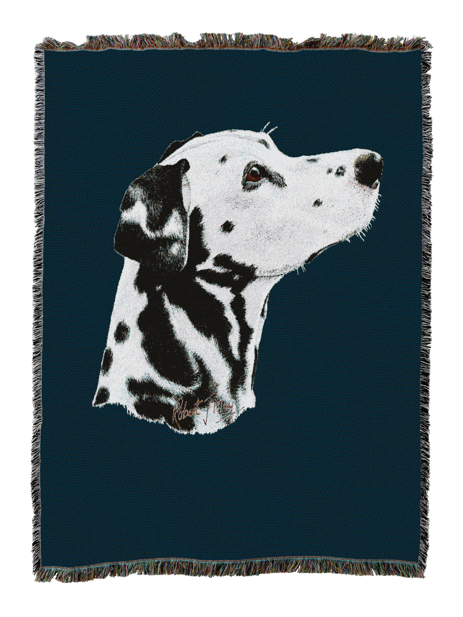 Dalmatian Blanket