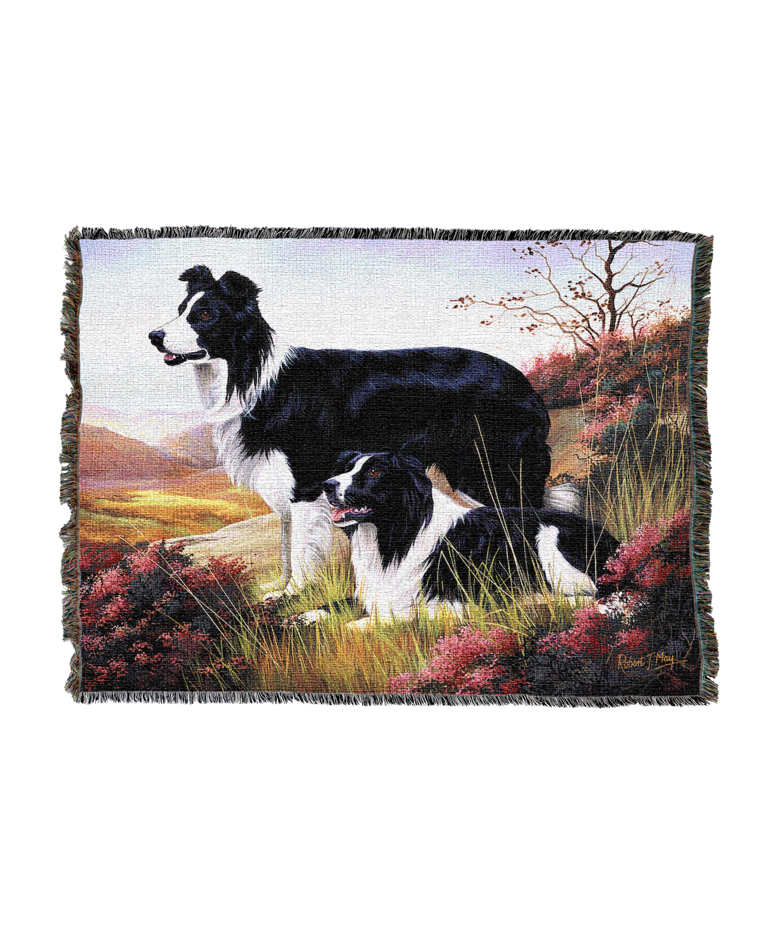 Border Collie Blanket