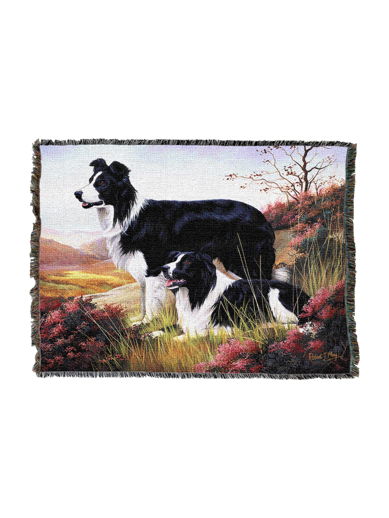 Border Collie Blanket A