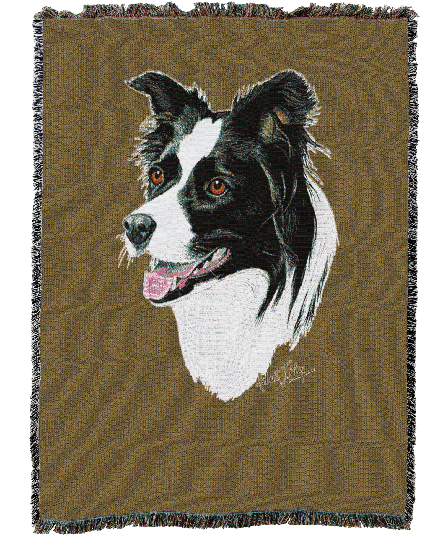 Border Collie Blanket Sand