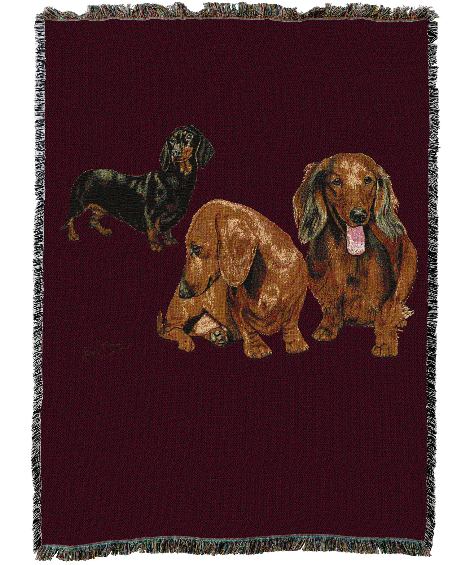 Dachshund Puppies Blanket
