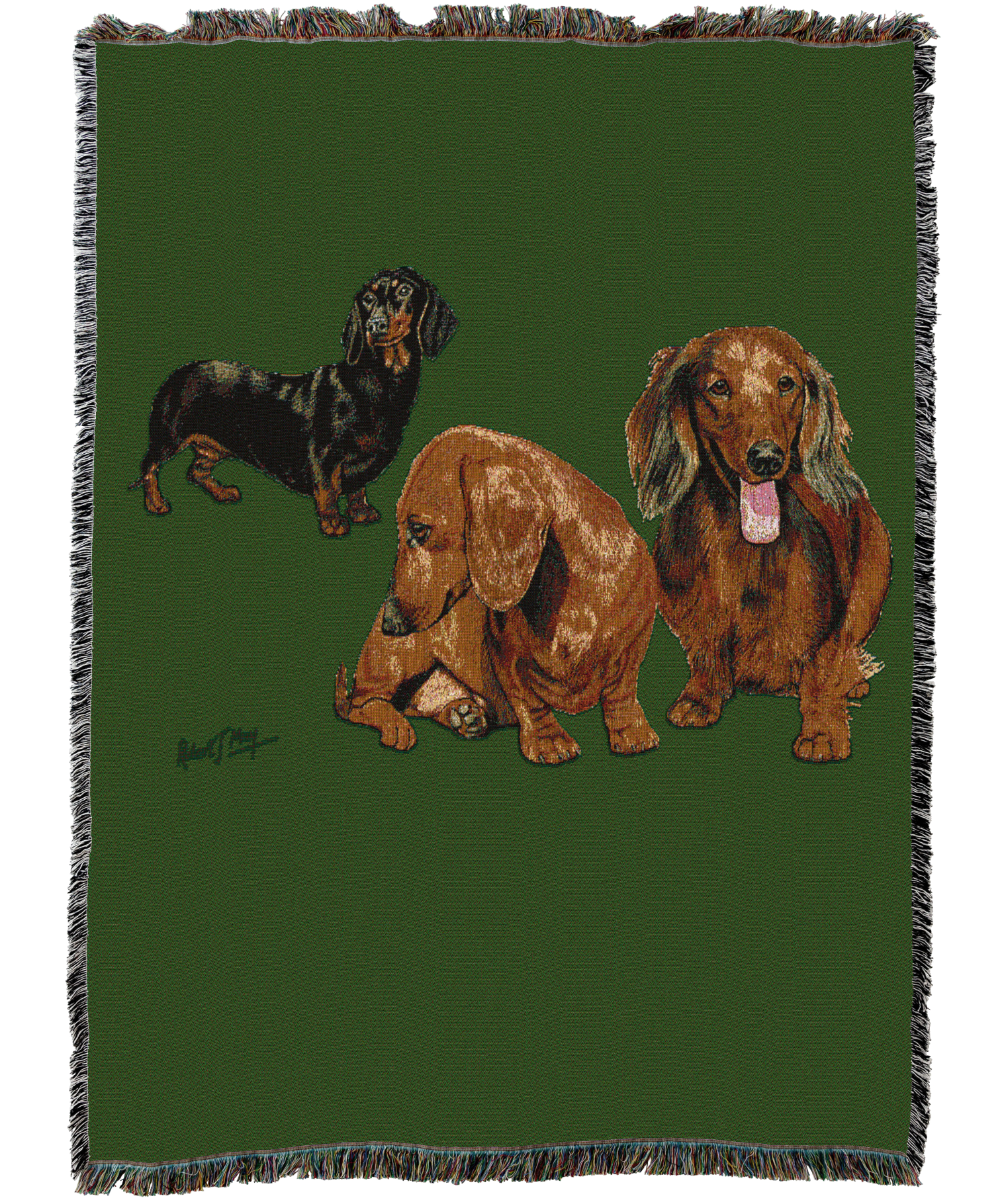 Dachshund Puppies Blanket