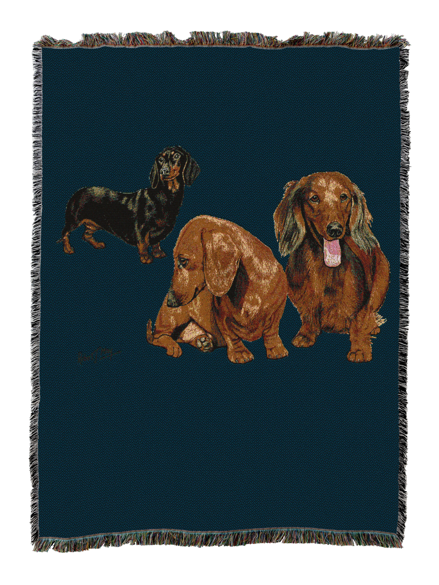 Dachshund Puppies Blanket