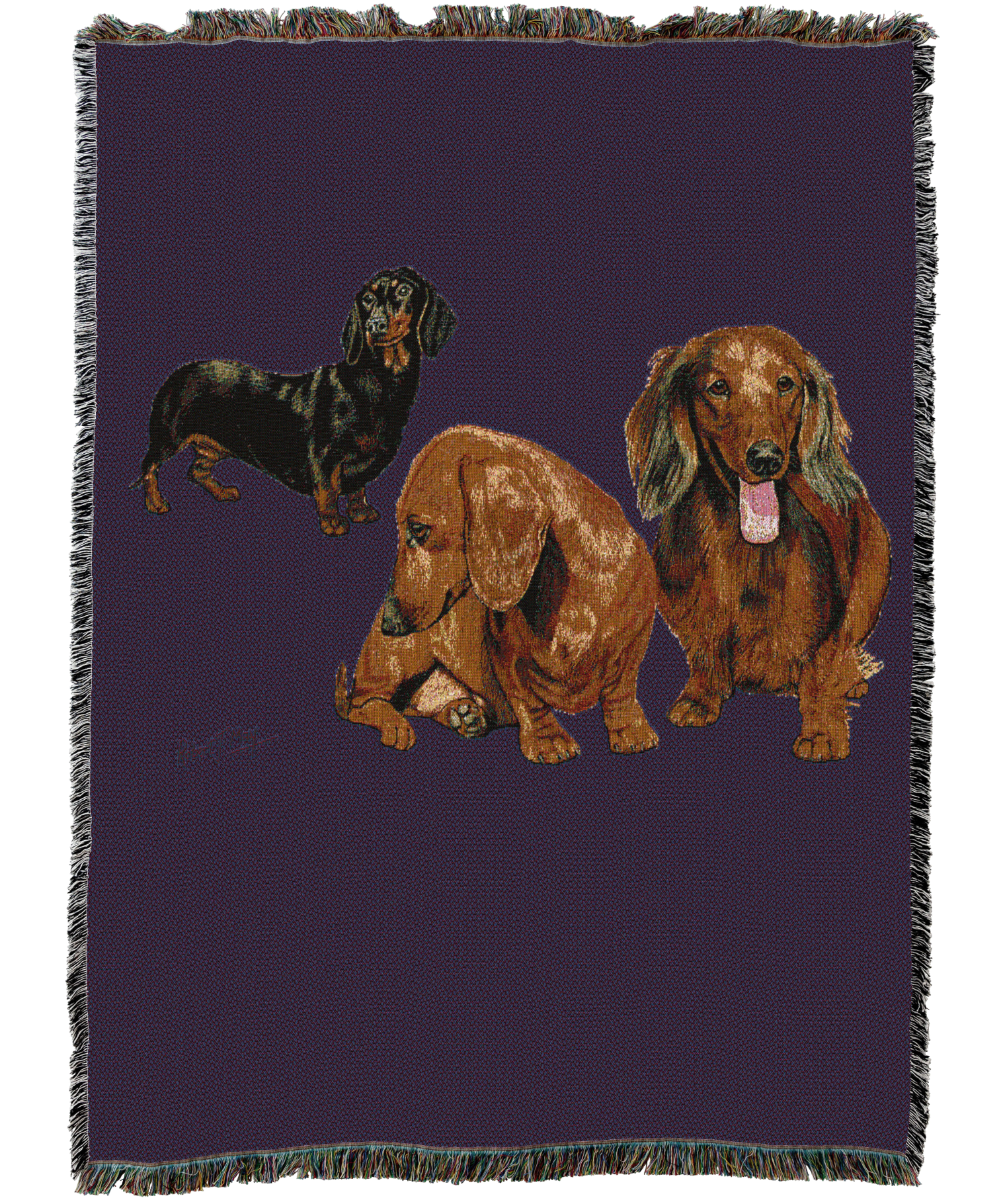 Dachshund Puppies Blanket
