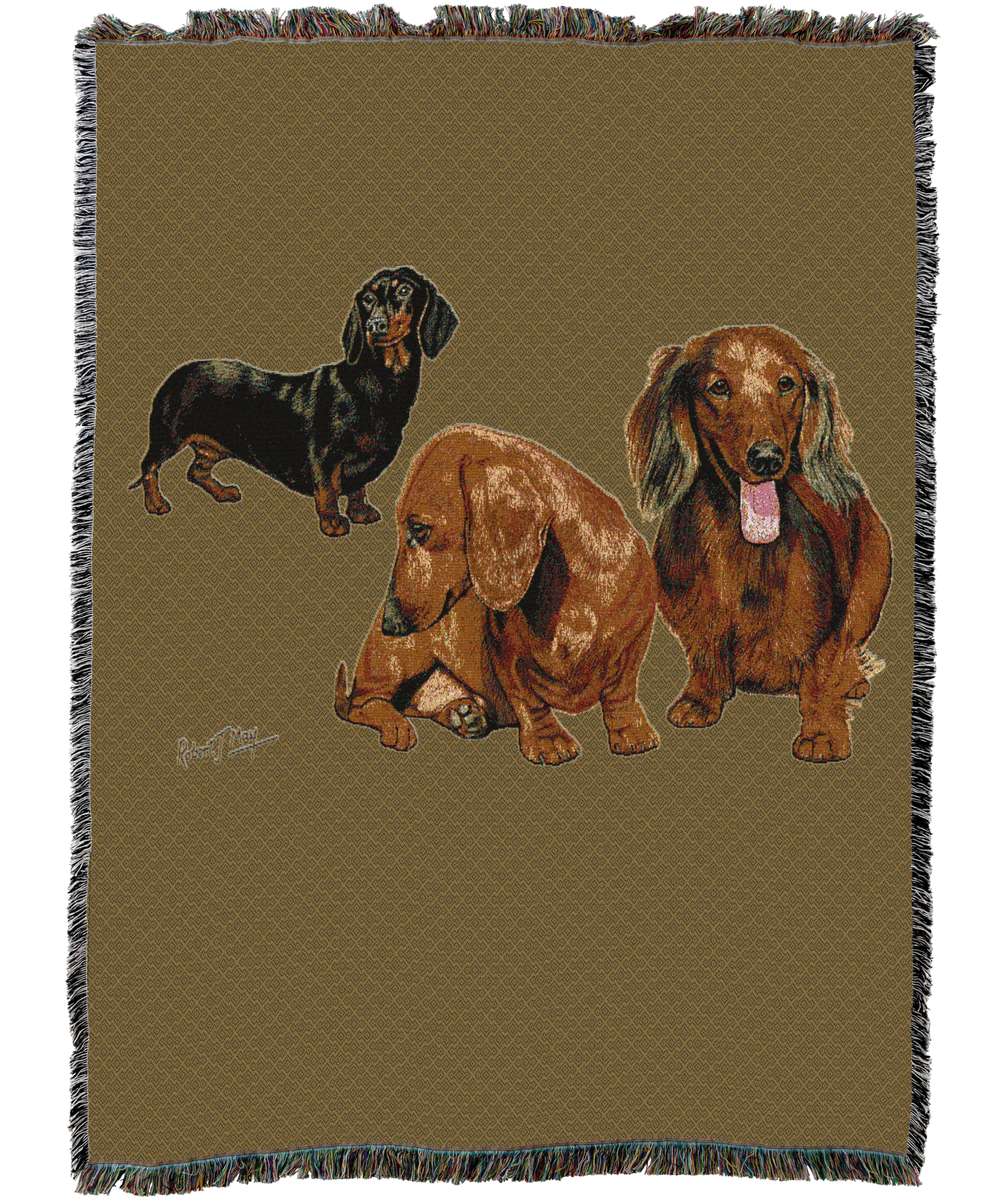 Dachshund Puppies Blanket Sand