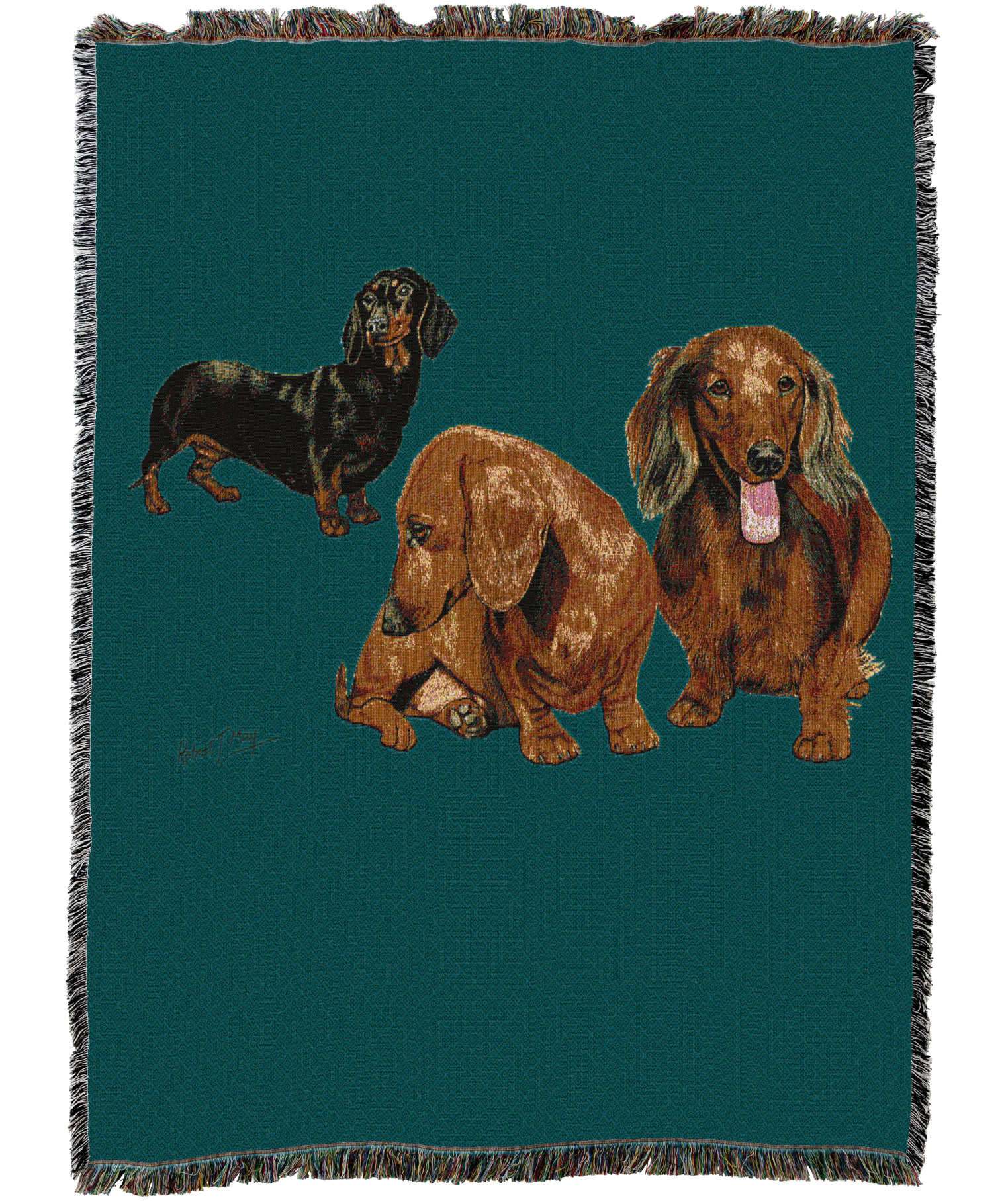 Dachshund Puppies Blanket