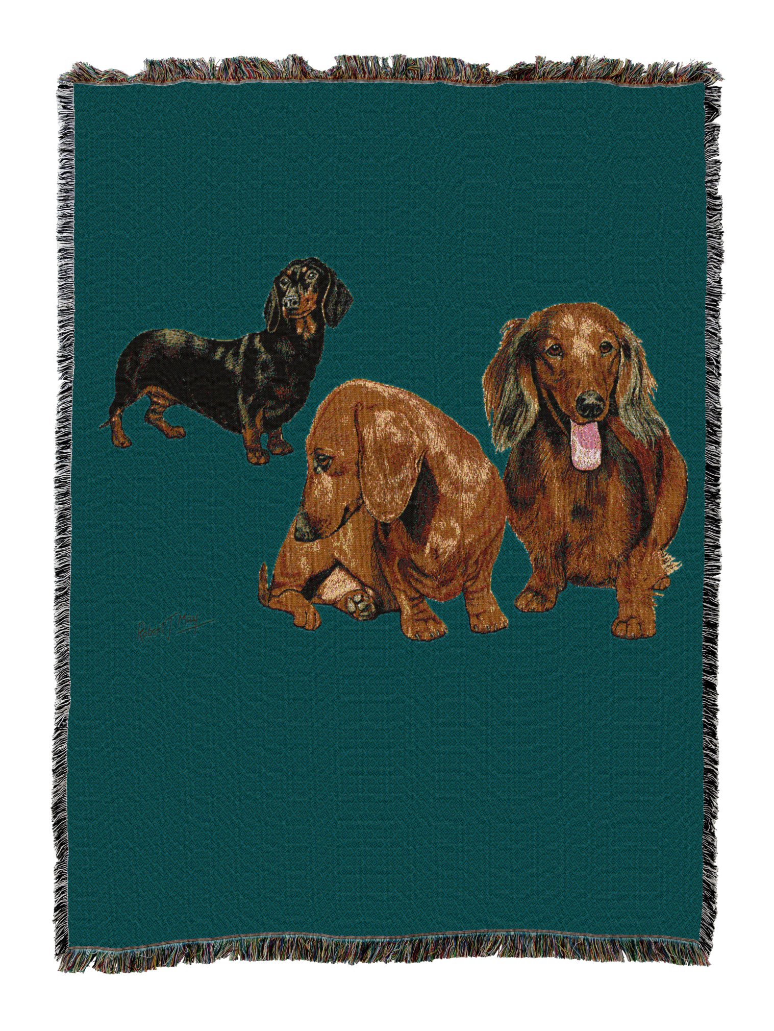Dachshund Puppies Blanket