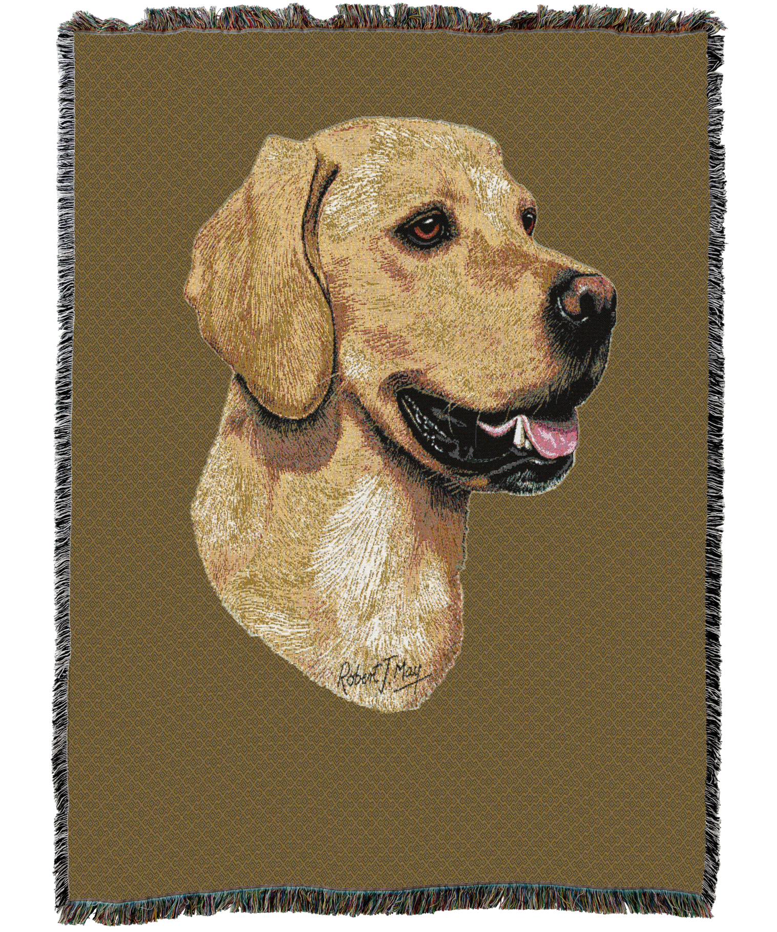 Golden Retriever Blanket Sand