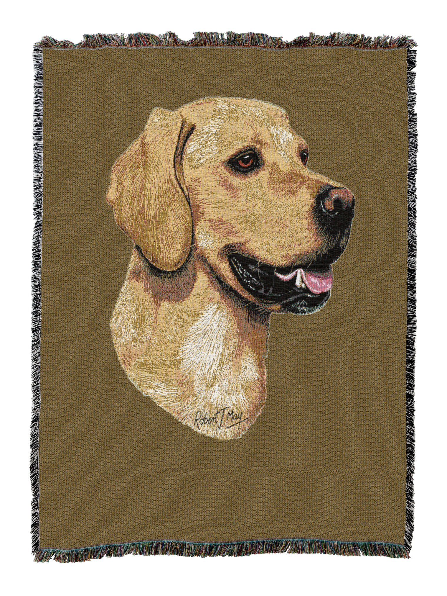 Golden Retriever Blanket Sand