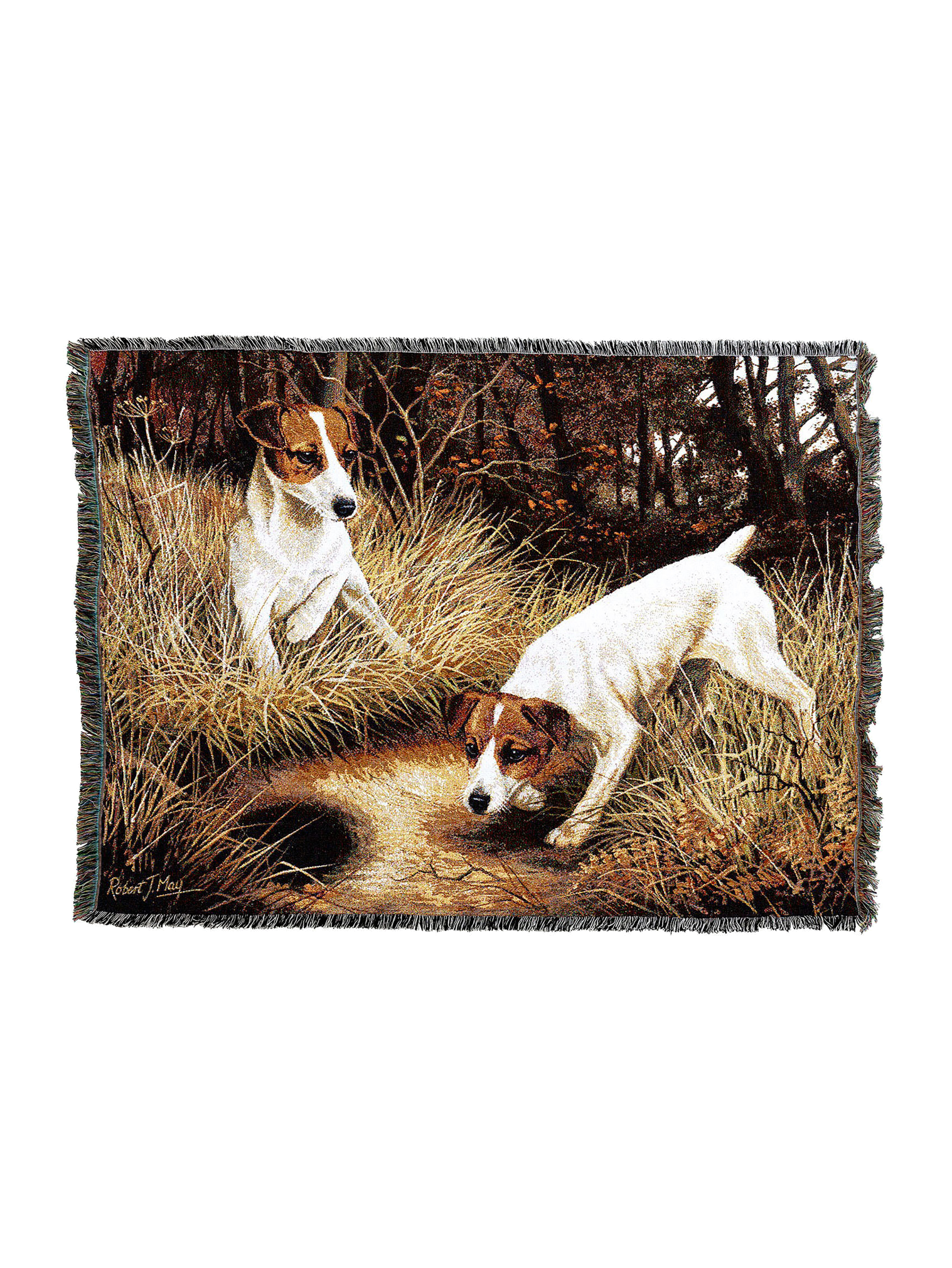 Jack Russell Terrier Blanket A
