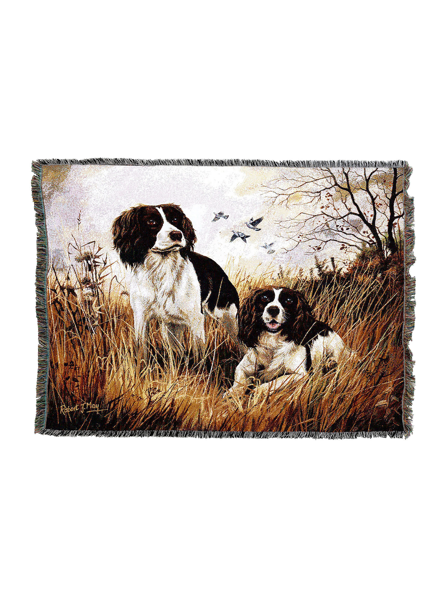 English Springer Spaniel Blanket A