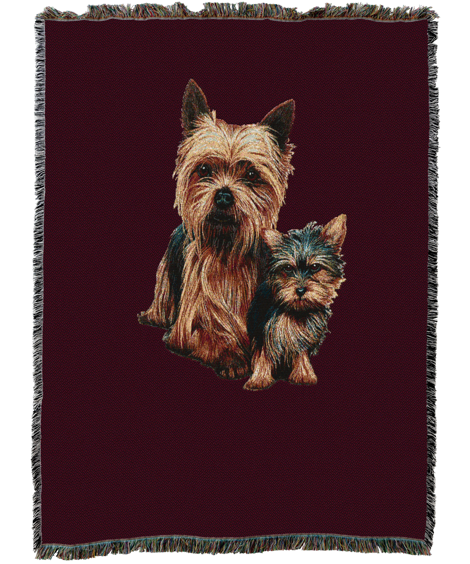 Yorkshire Terrier with Puppy Blanket Red