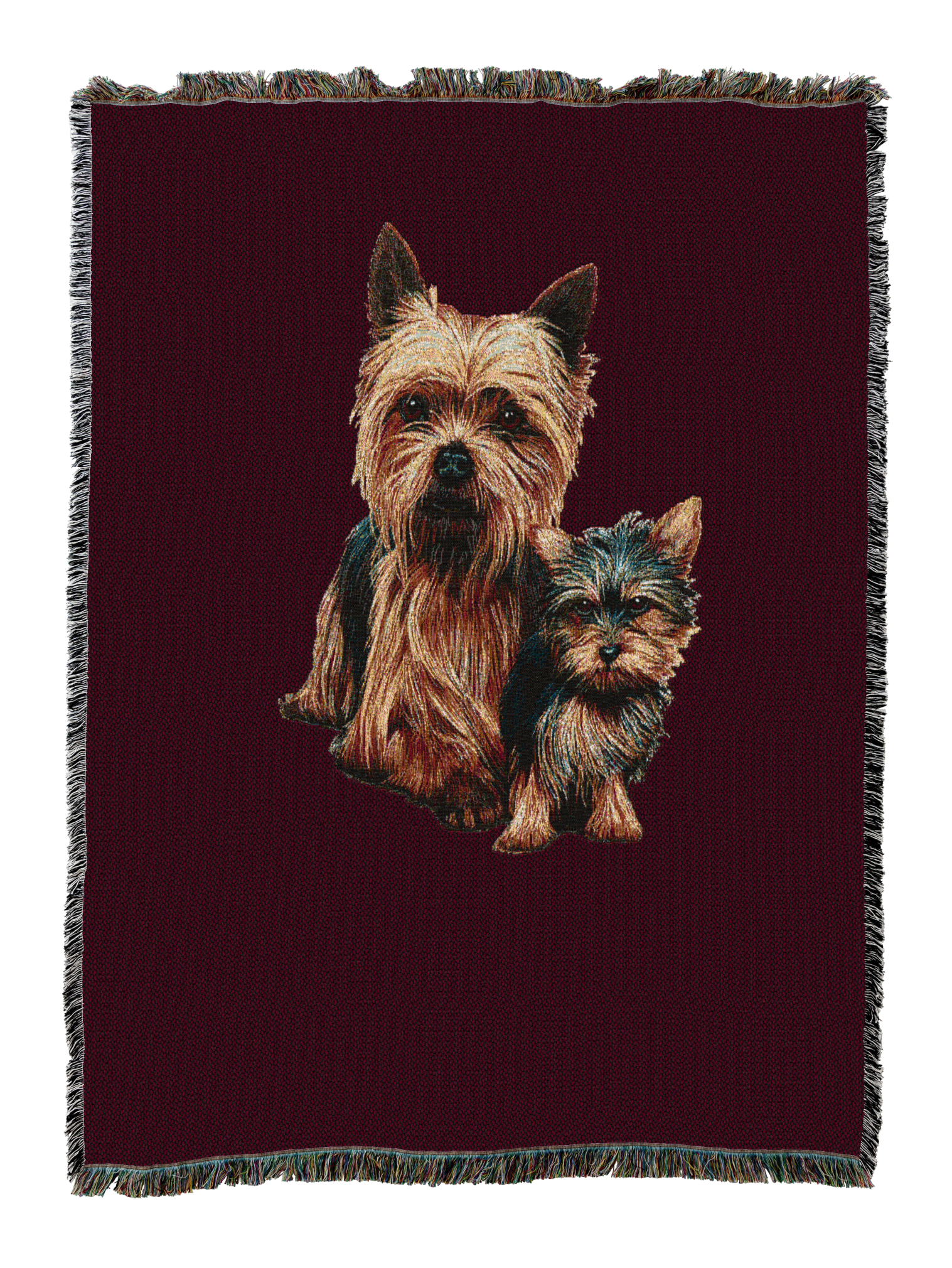 Yorkshire Terrier with Puppy Blanket Red