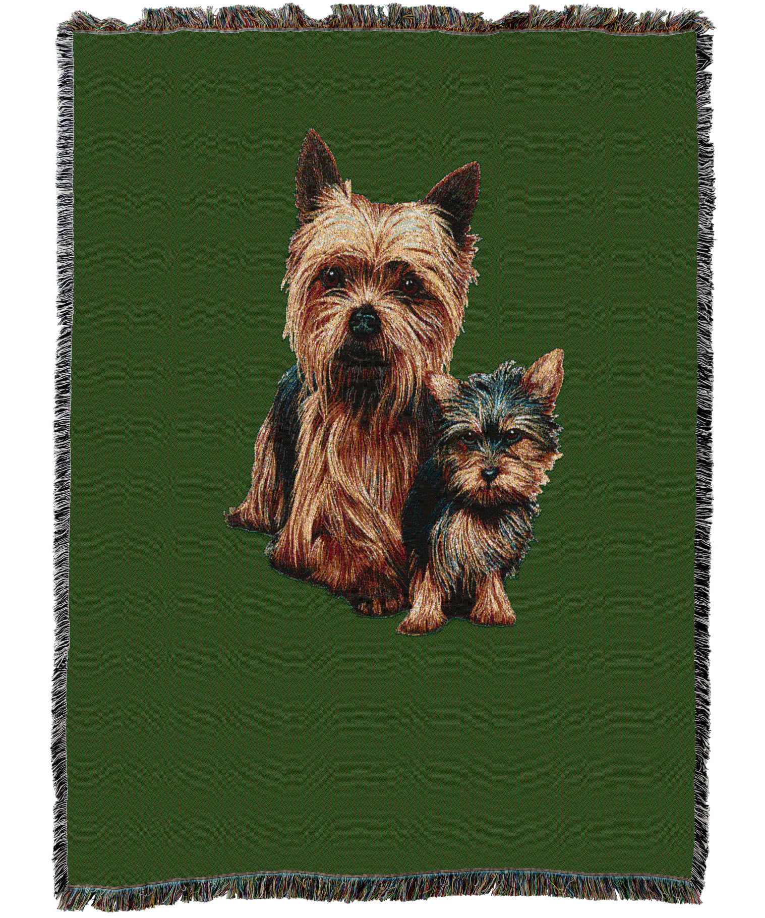 Yorkshire Terrier with Puppy Blanket Green