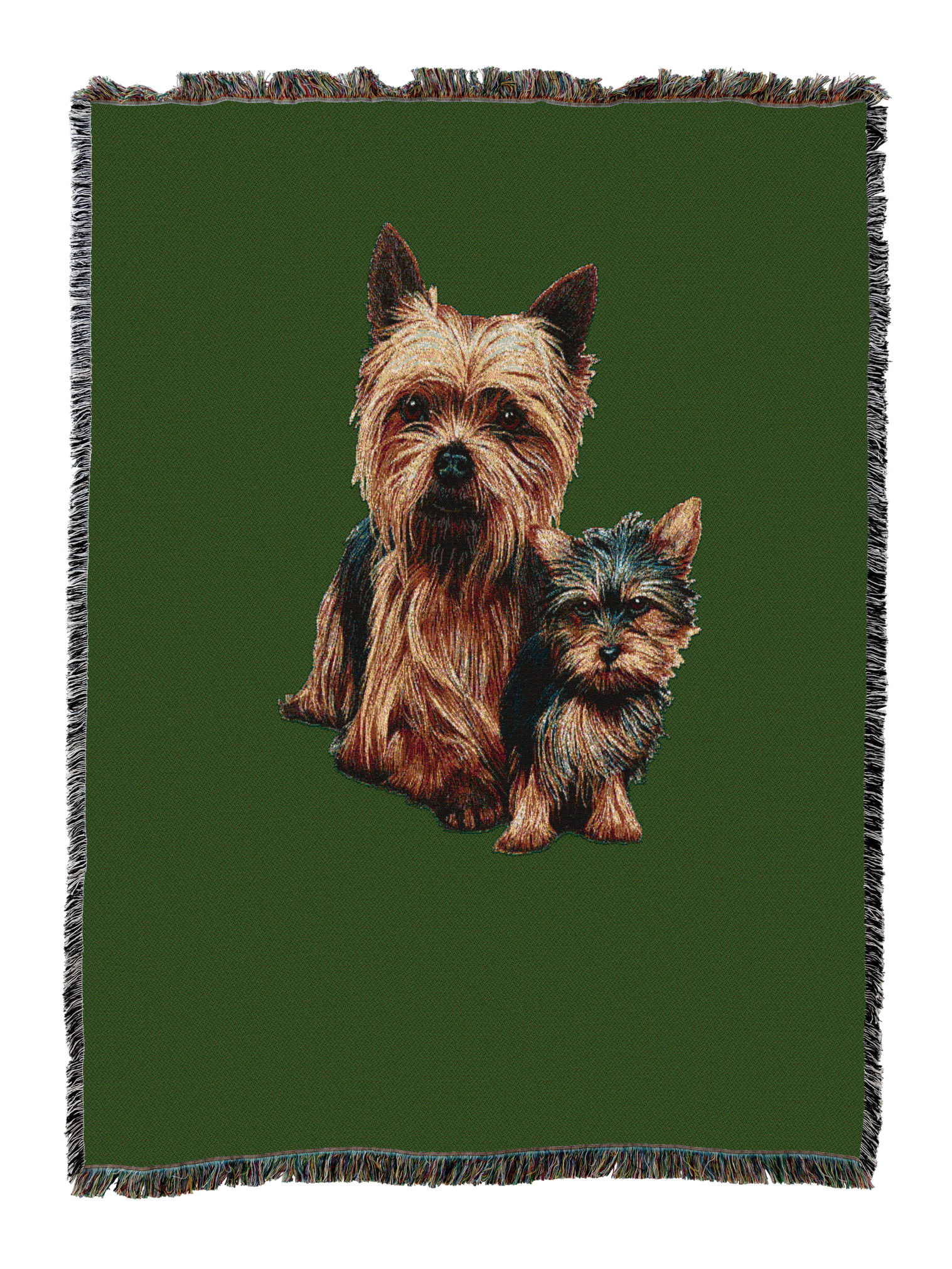 Yorkshire Terrier with Puppy Blanket Green
