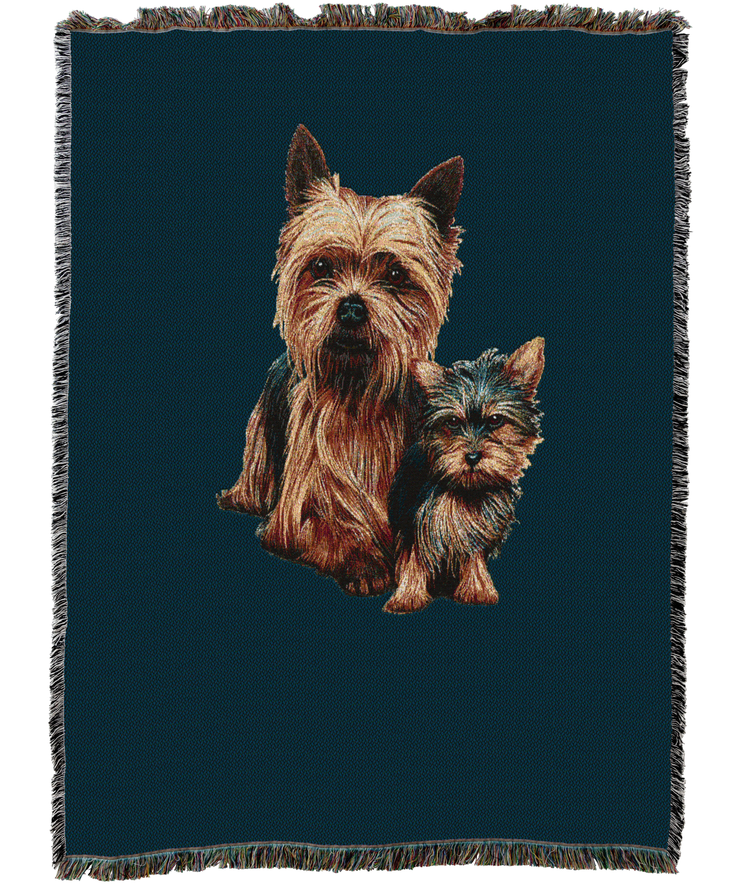 Yorkshire Terrier with Puppy Blanket Blue