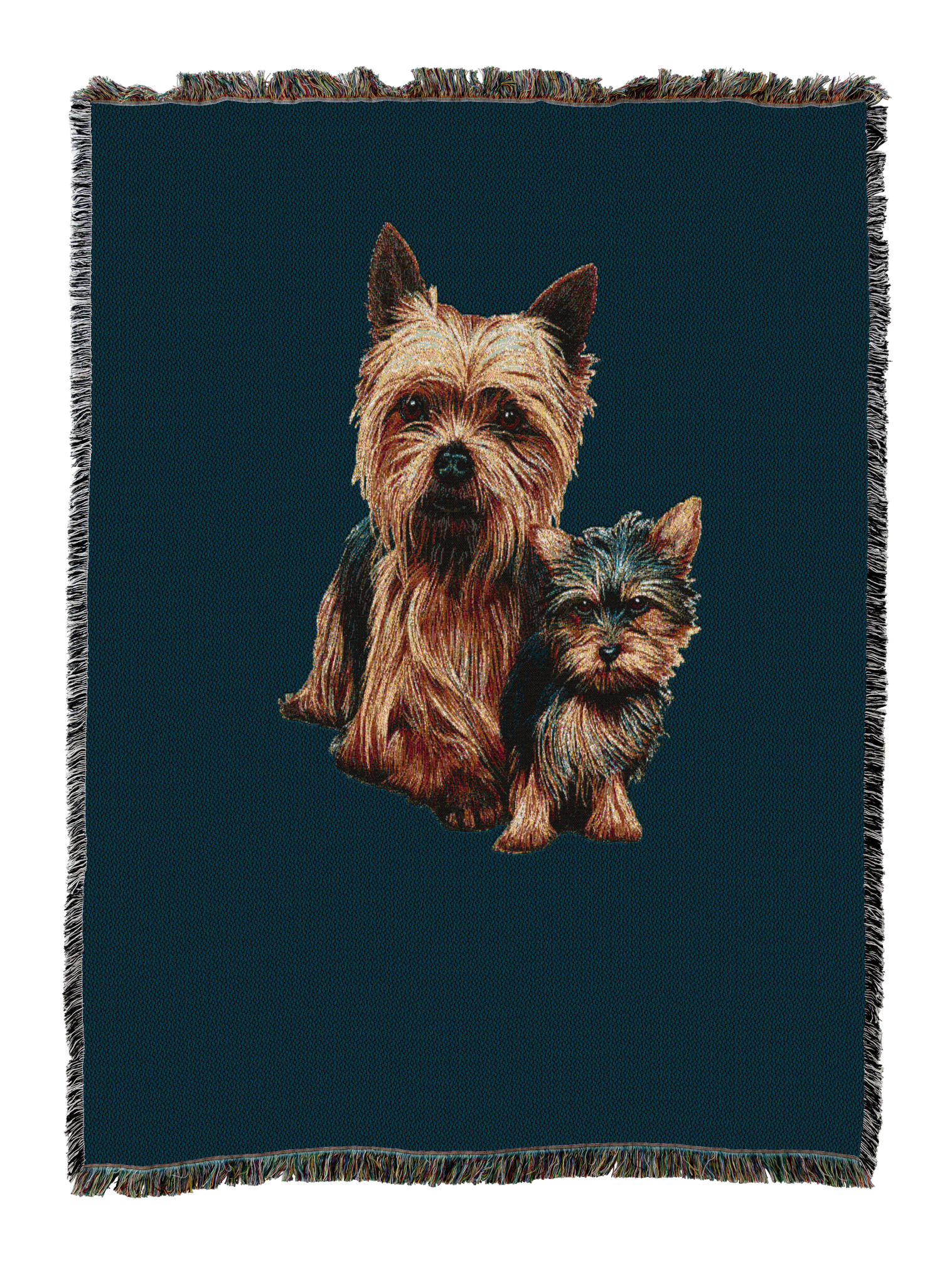 Yorkshire Terrier with Puppy Blanket Blue