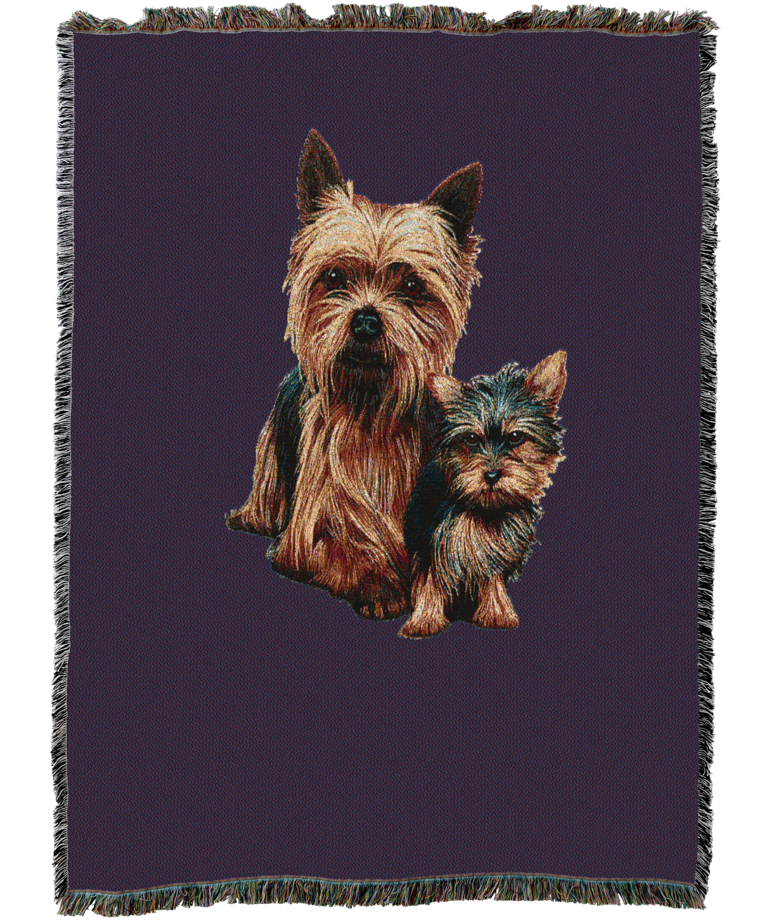 Yorkshire Terrier With Puppy Blanket
